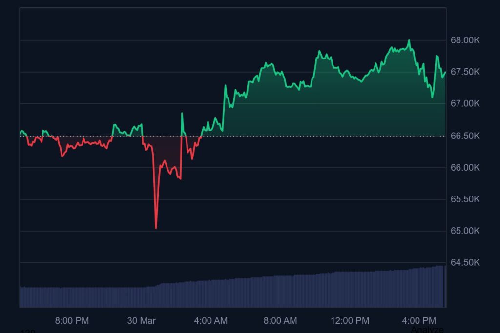 bitcoin one day chart